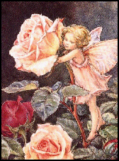 (c.) Cicely Mary Barker